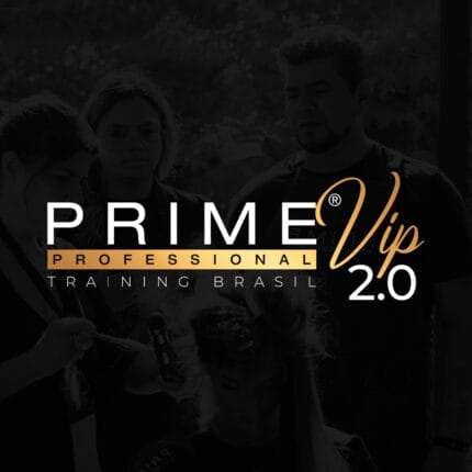 curso-vip-2lote